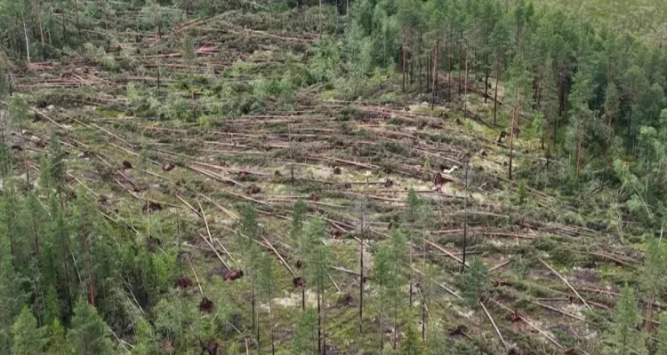Tromben Råkar Norrbotten - 2 Dödsolyckor Efter Tromben Trasade Sönder Delar Av Tärendö