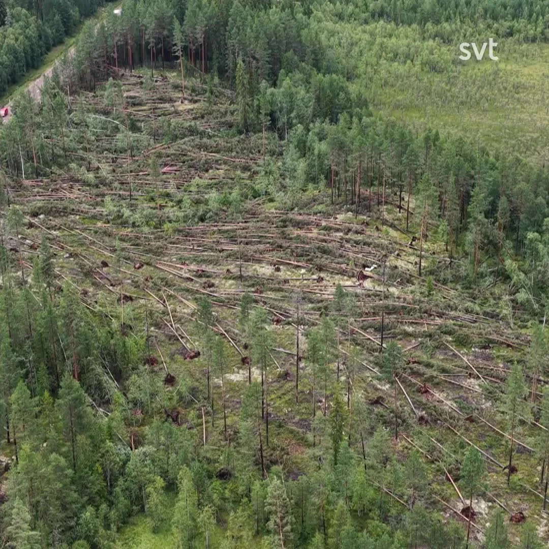 Tromben Råkar Norrbotten - 2 Dödsolyckor Efter Tromben Trasade Sönder Delar Av Tärendö