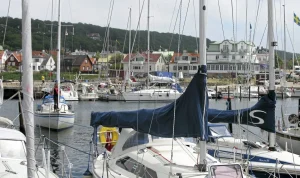 Från koppartak till tonfiskburkar: En våg av stölder och lagbrott skakar Sverige Från koppartak till tonfiskburkar: En våg av stölder och lagbrott skakar Sverige